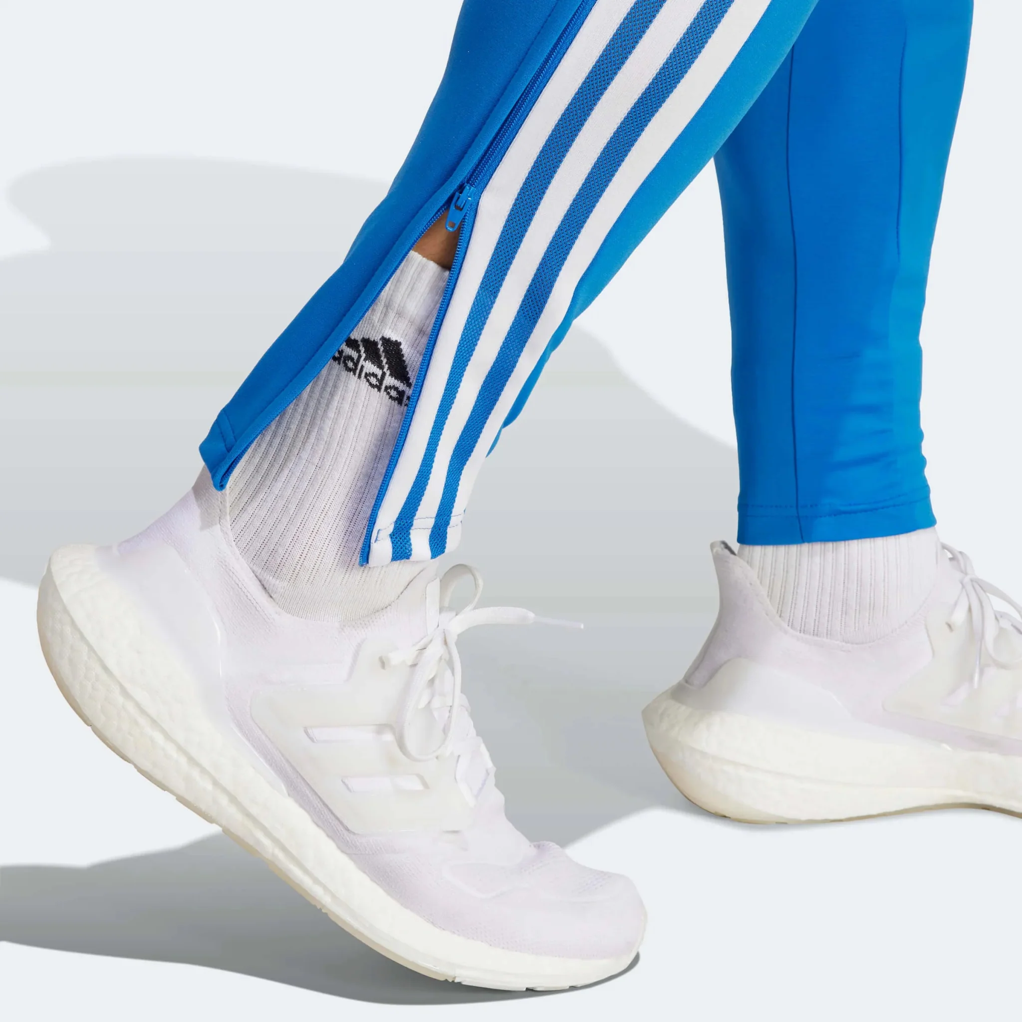 adidas 2023 FC Bayern Munich Training Pants - Bright Royal - Image 5