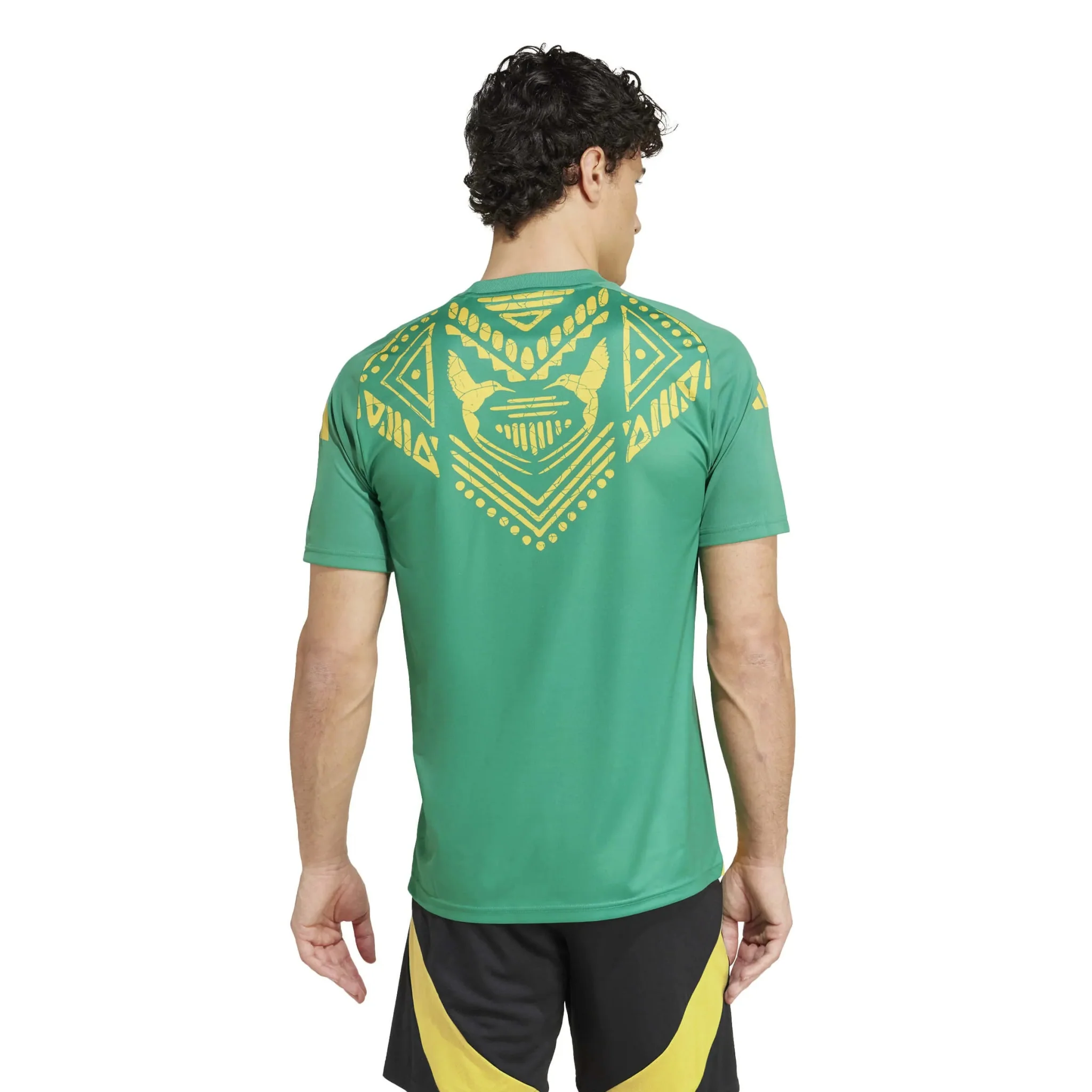 adidas 2024-25 Jamaica Men's Pre-Match Jersey - Image 3