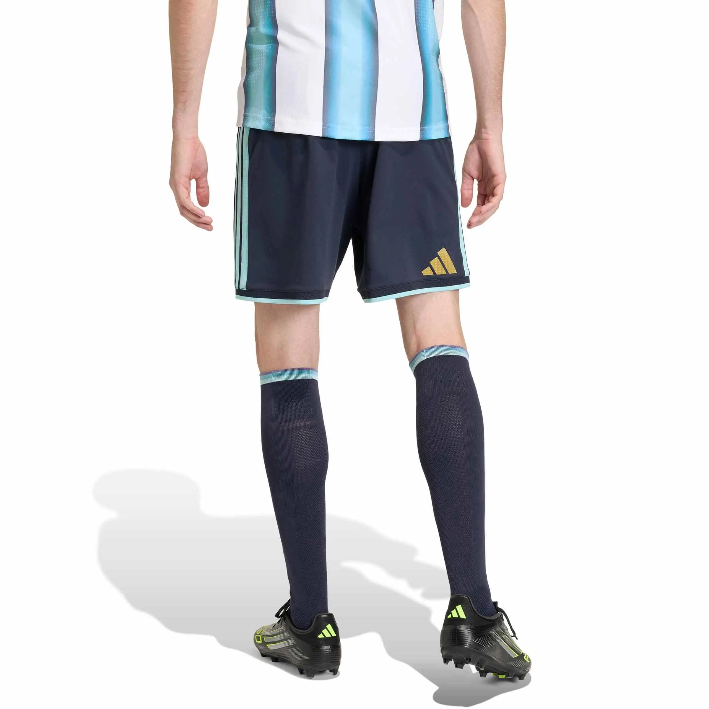 adidas 2026 Argentina Men's Authentic Home Shorts - Image 3