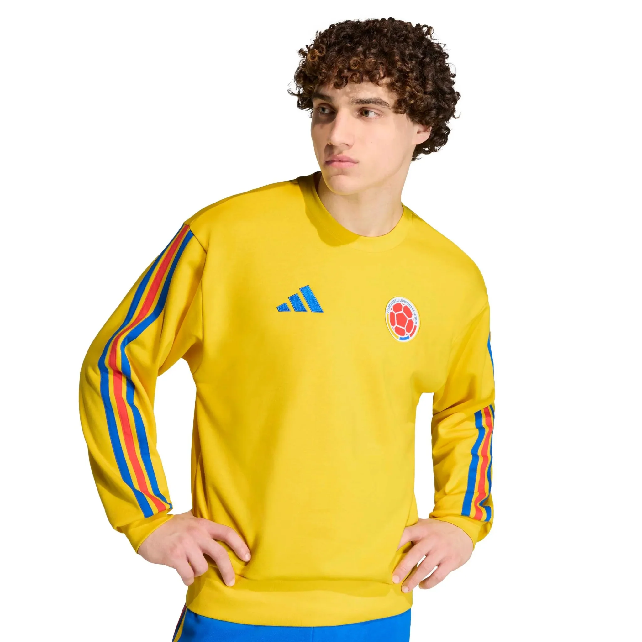 adidas 2026 Colombia Men's DNA Crew Sweatshirt - Image 4