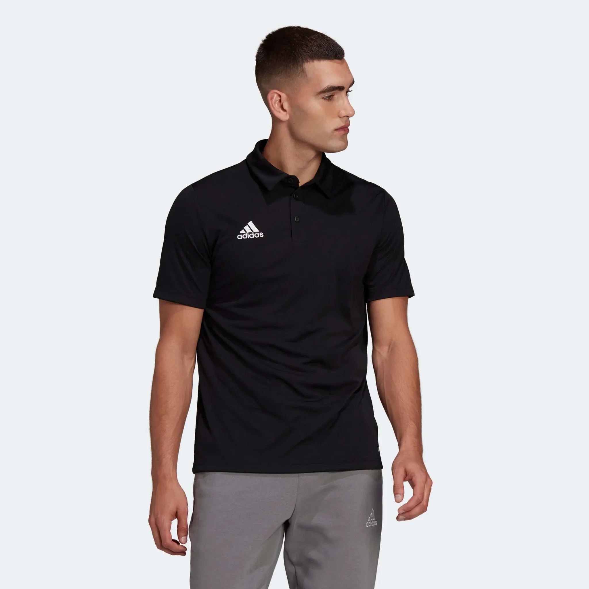 adidas Entrada 22 Polo Shirt