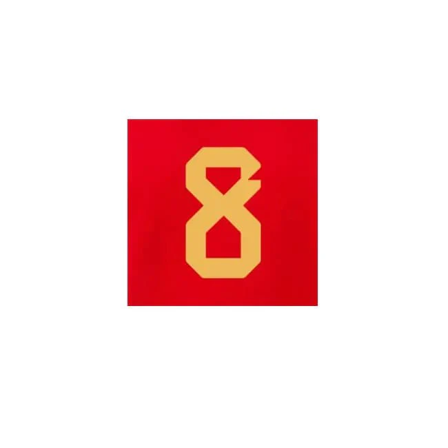 Belgium 2022-23 Home Tielemans #8 Jersey Name Set - Image 2
