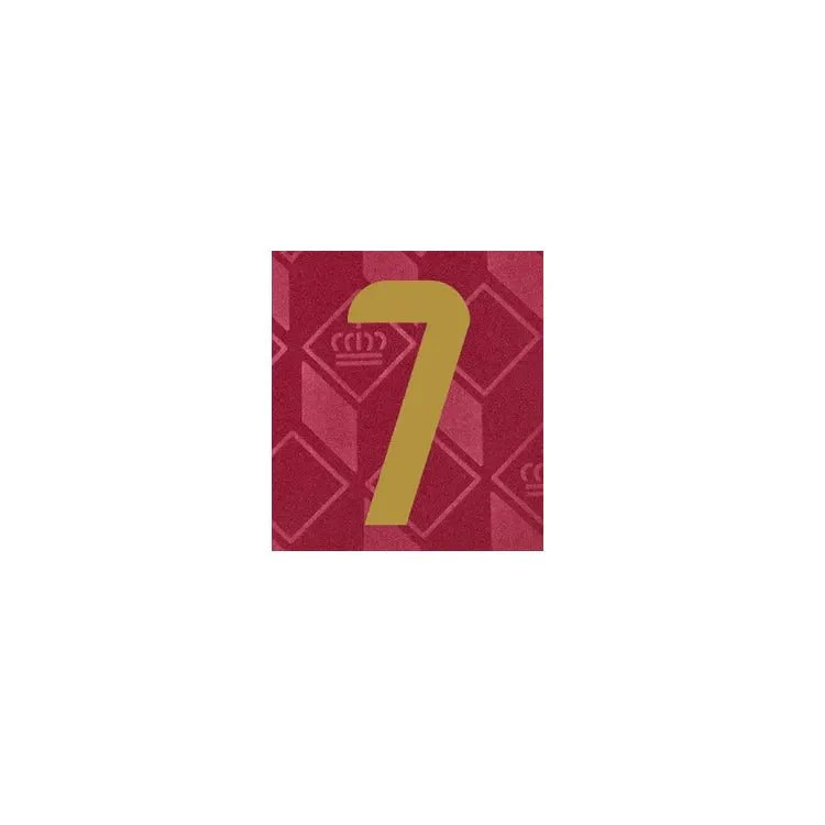 Belgium 2024/25 Home De Bruyne #7 Youth Jersey Name Set - Image 2
