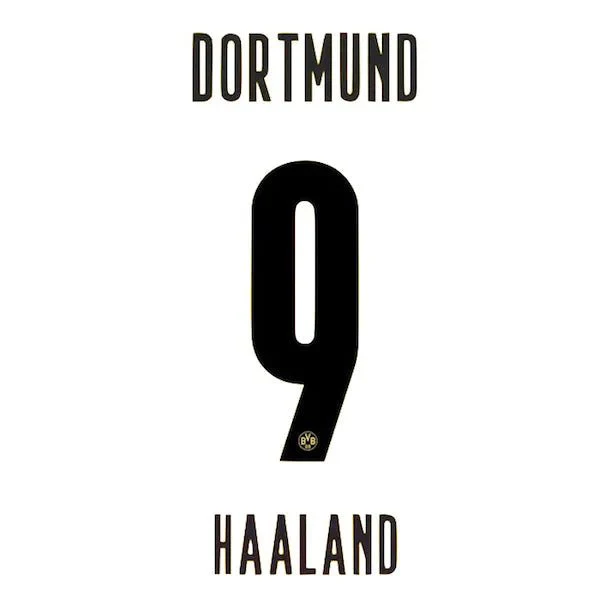 Borussia Dortmund 2020/21 Home Haaland #9 Jersey Name Set