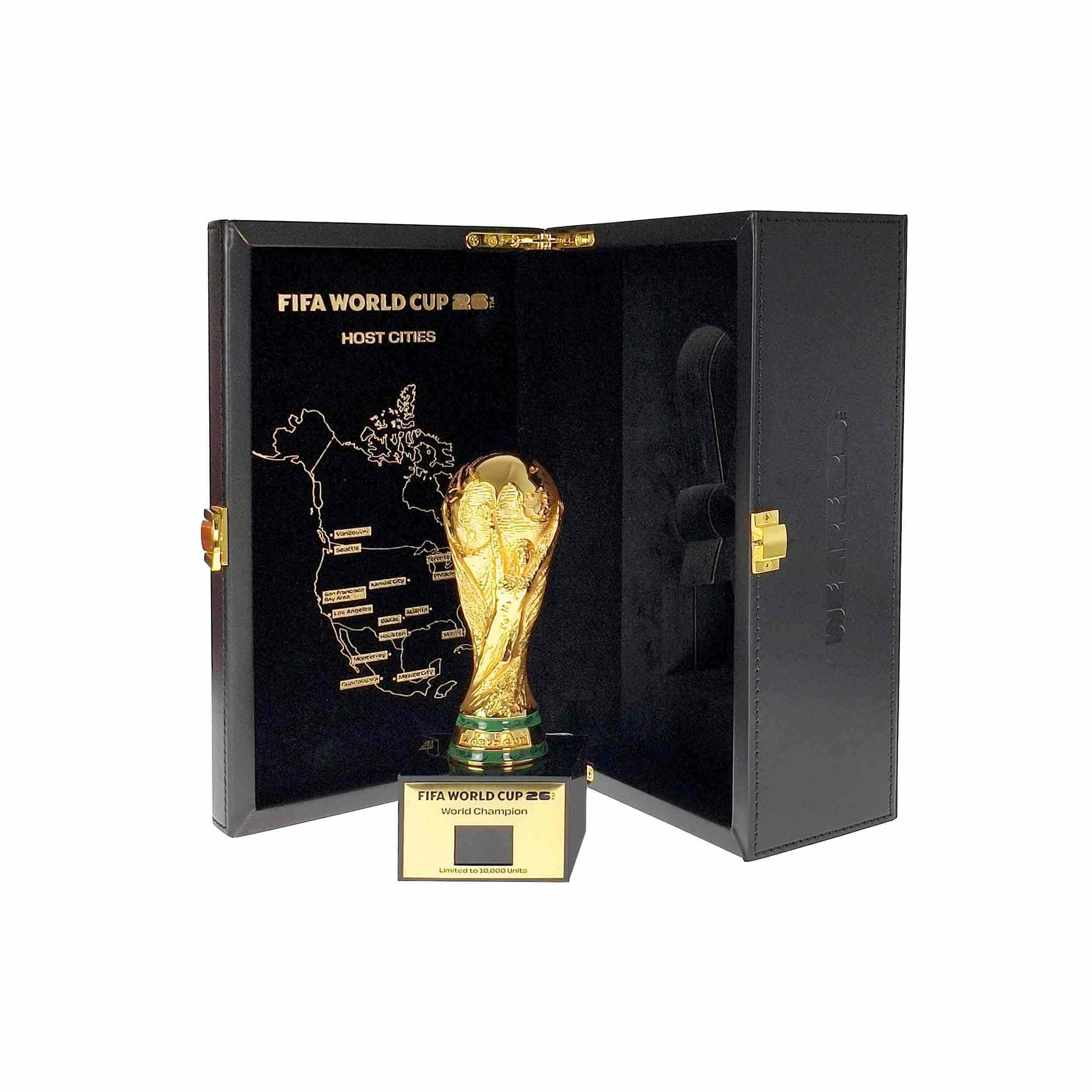 FIFA World Champion 3D Trophy Replica DIY Champion Flag