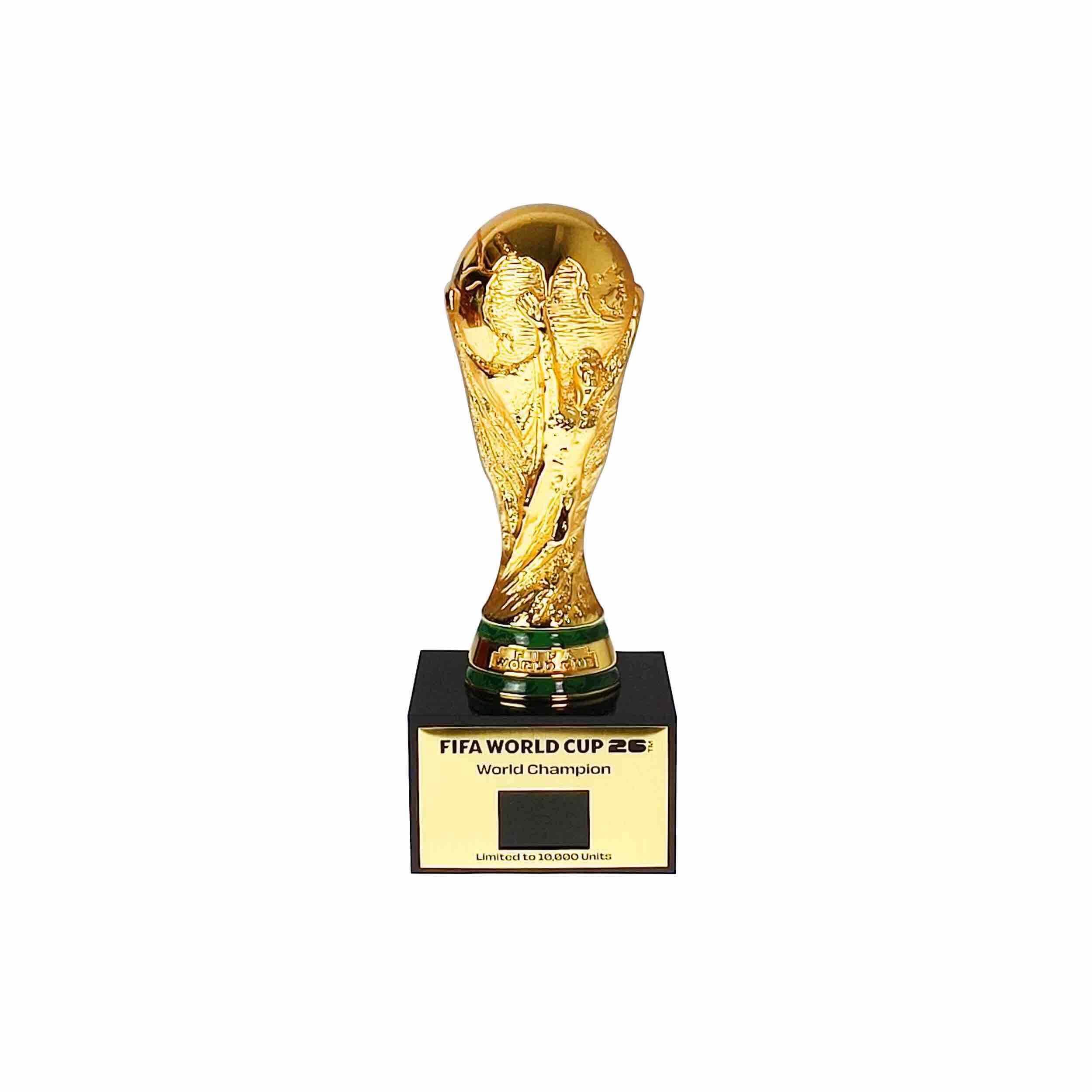 FIFA World Champion 3D Trophy Replica DIY Champion Flag - Image 3