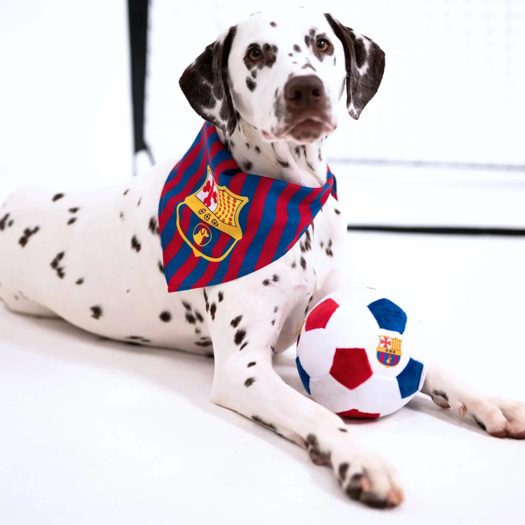 Floofball Barkcelona Plush Soccer Ball - Dog Toy - Image 4
