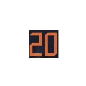 Netherlands 2020/21 Away Van De Beek #22 Jersey Name Set - Image 2