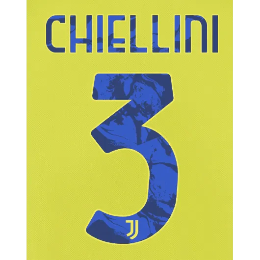 Juventus 2021/22 Third Chiellini #3 Jersey Name Set