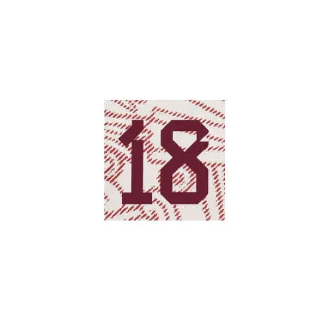 Mexico 2022-23 Away A. Guardado #18 Youth Jersey Name Set - Image 2