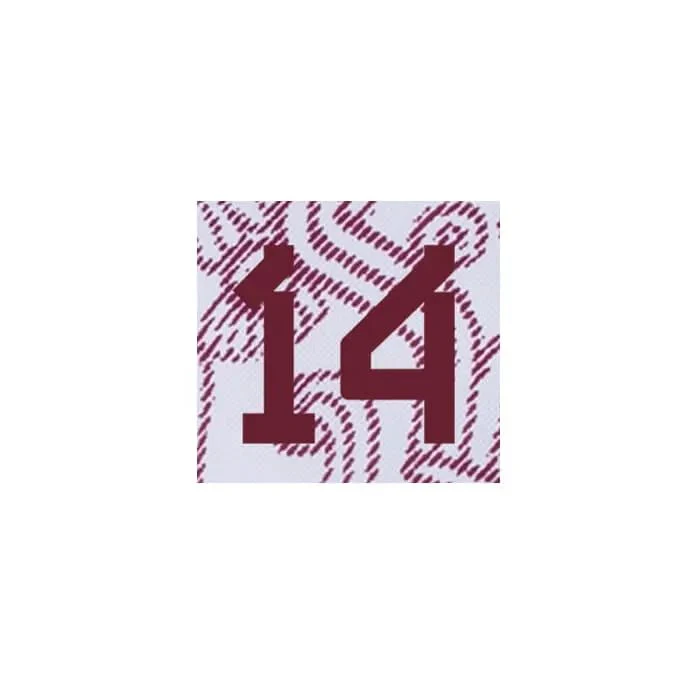Mexico 2022/23 Away Chicharito #14 Jersey Name Set - Image 2