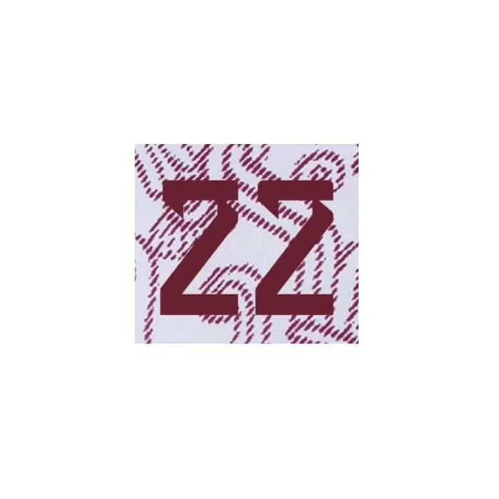 Mexico 2022/23 Away H. Lozano #22 Jersey Name Set - Image 2
