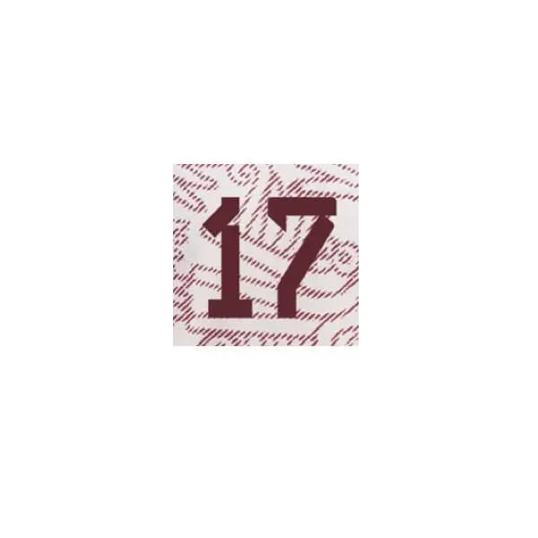 Mexico 2022/23 Away Jesus C. #17 Jersey Name Set - Image 2