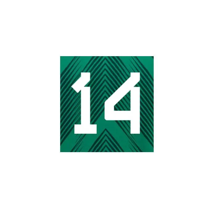 Mexico 2022/23 Home Chicharito #14 Jersey Name Set - Image 2