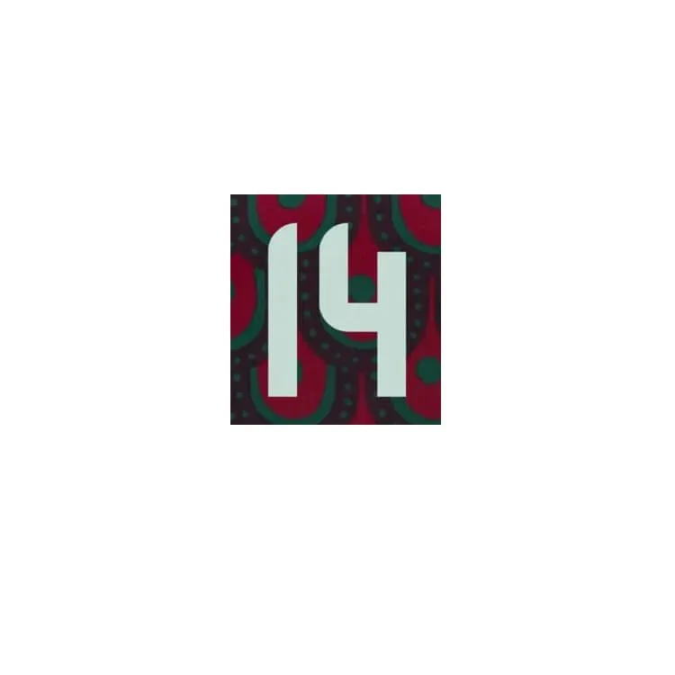 Mexico 2024/25 Home Chicharito #14 Jersey Name Set - Image 2