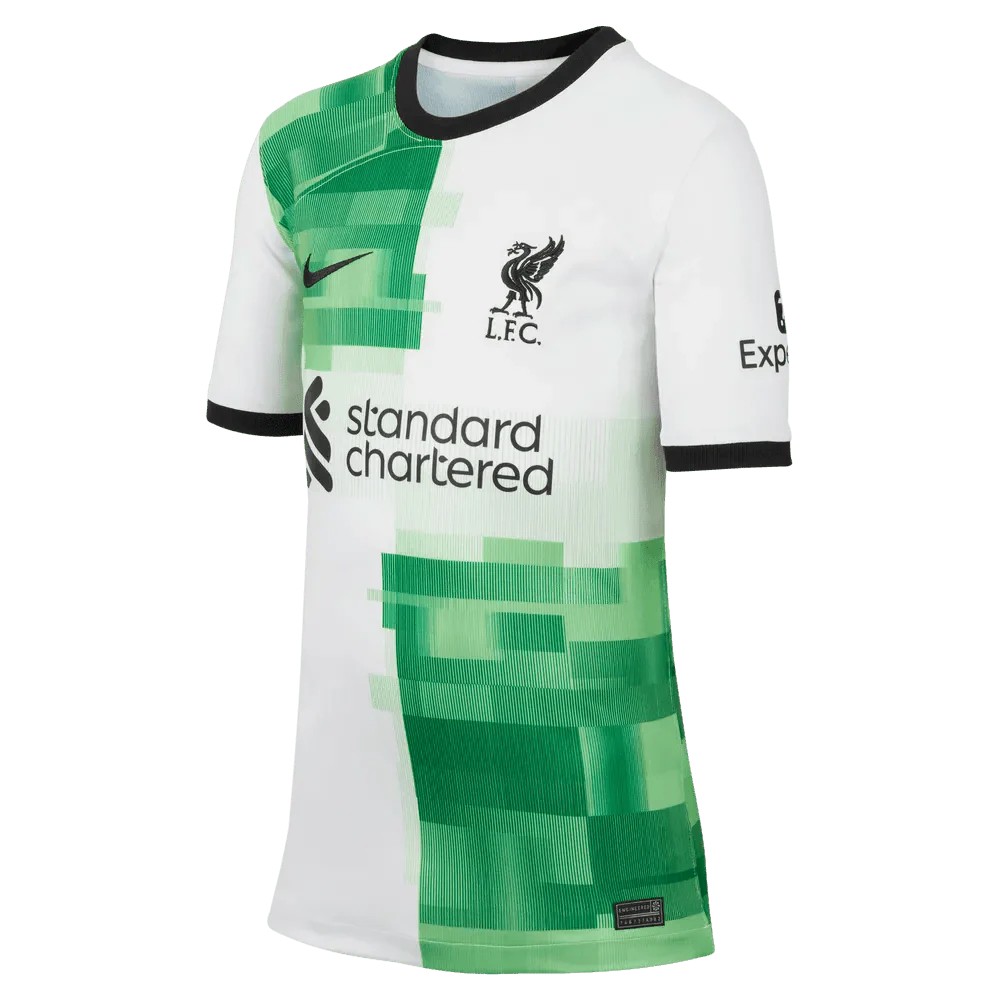 Nike 2023-24 Liverpool Youth Stadium Away Jersey