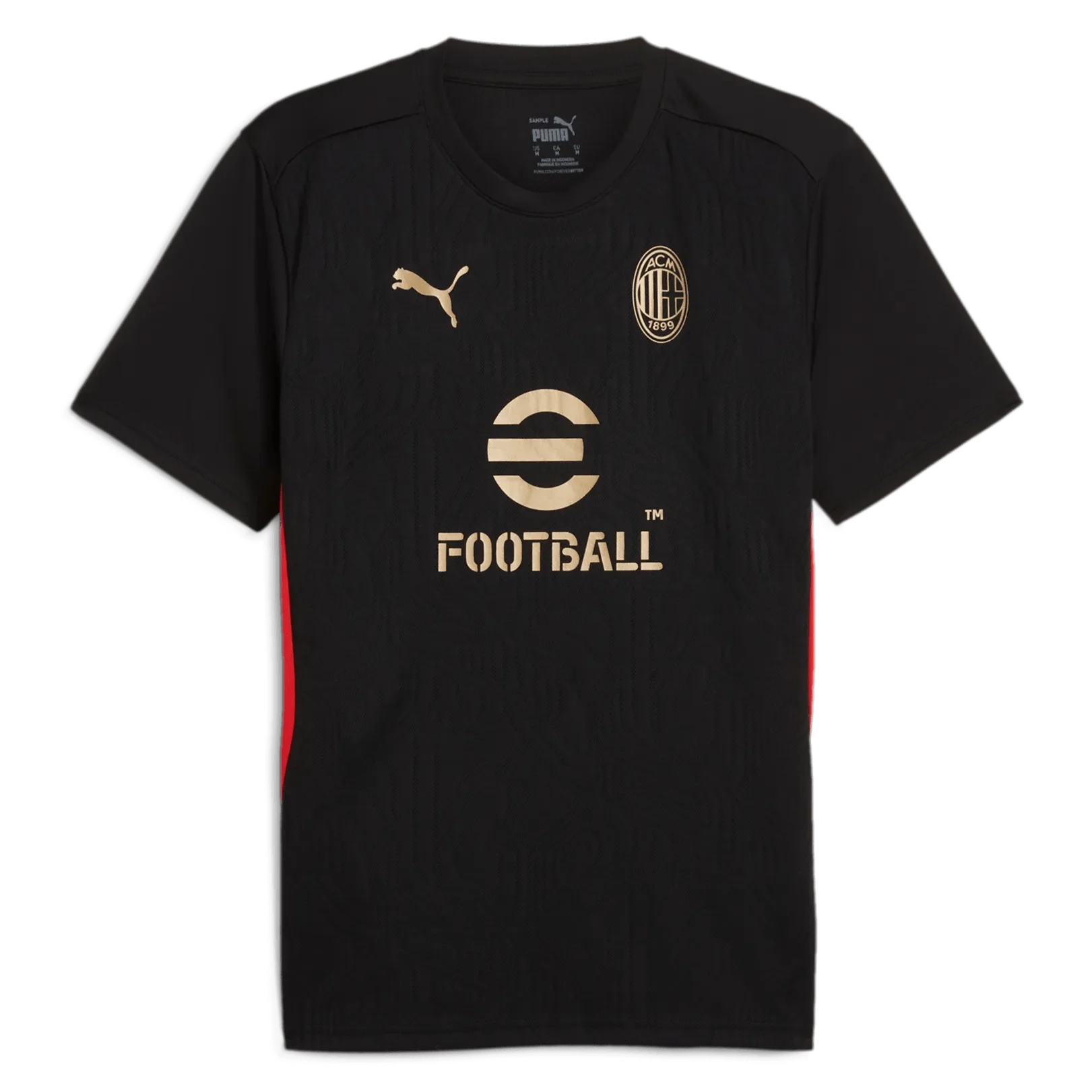 Puma 2024-25 AC Milan Men's Training Jersey