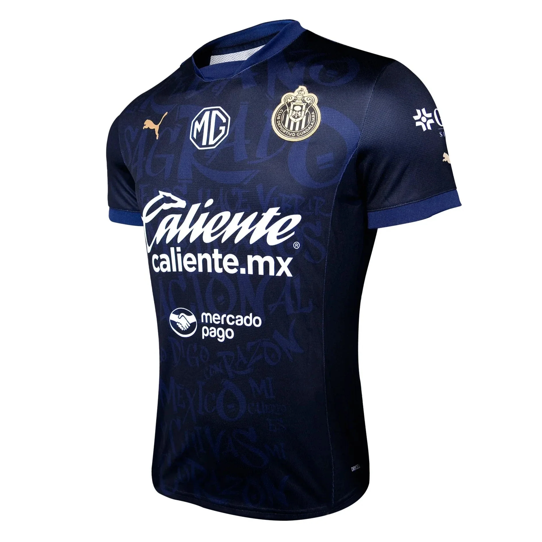 Puma 2024-25 Chivas Men's Stadium Third Jersey