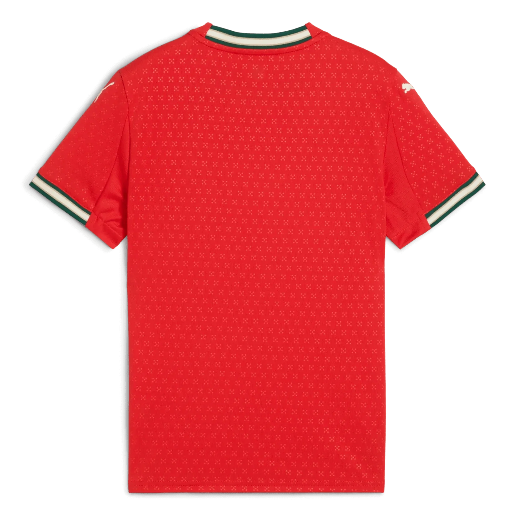Puma 2025-26 Portugal Youth Stadium Home Jersey - Image 2
