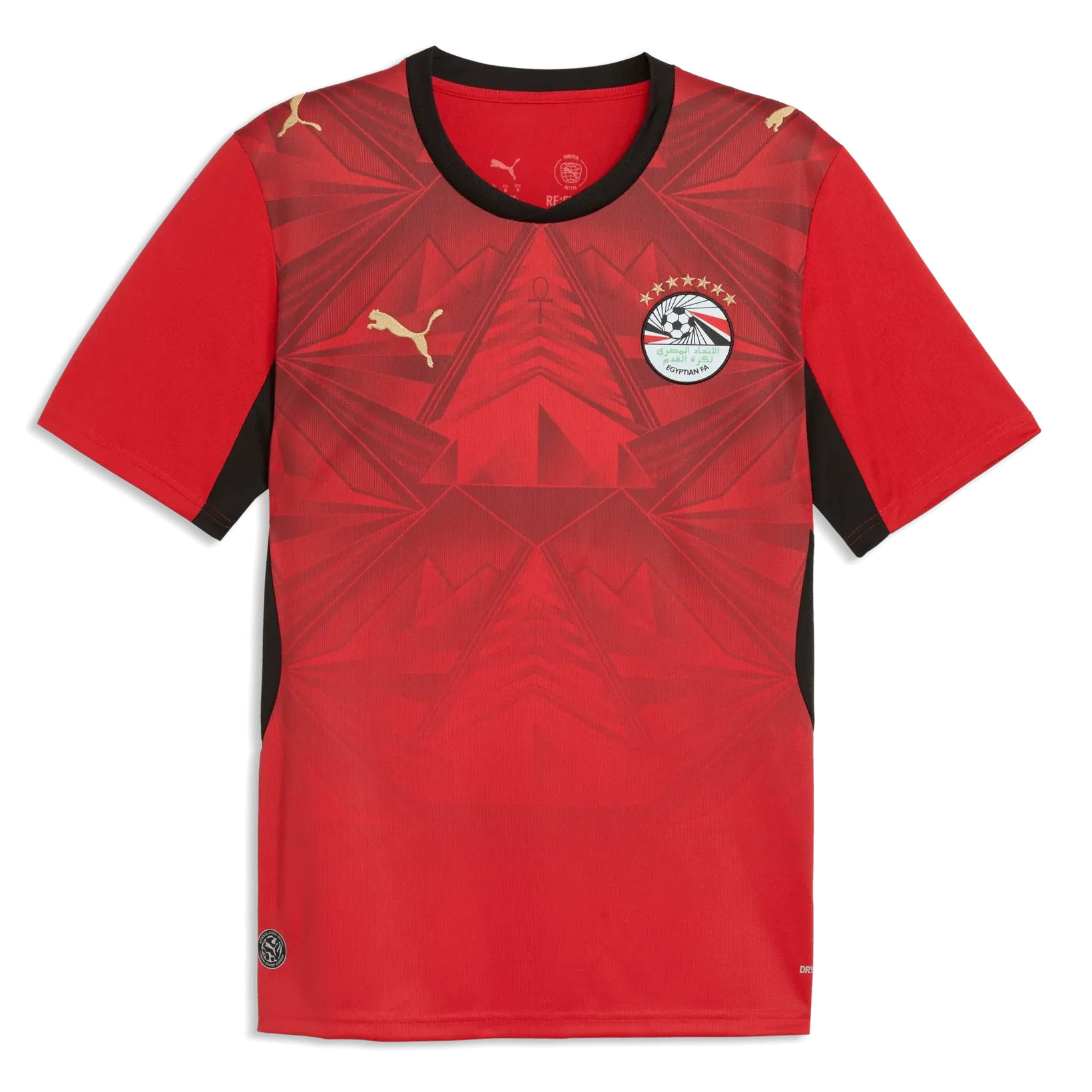 Puma 2026 Egypt Men's Stadium Home Soccer Jersey