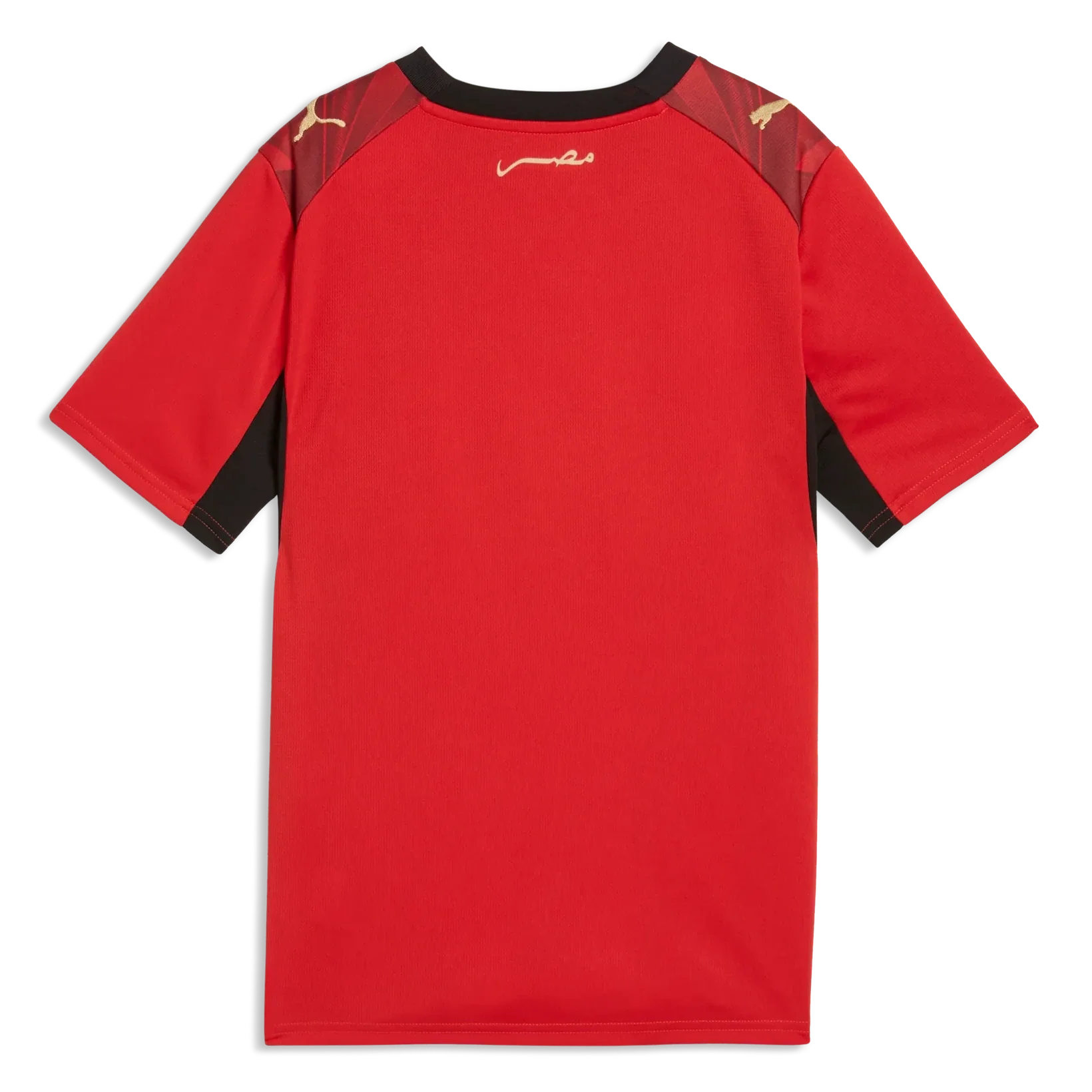 Puma 2026 Egypt Youth Stadium Home Soccer Jersey - Image 2