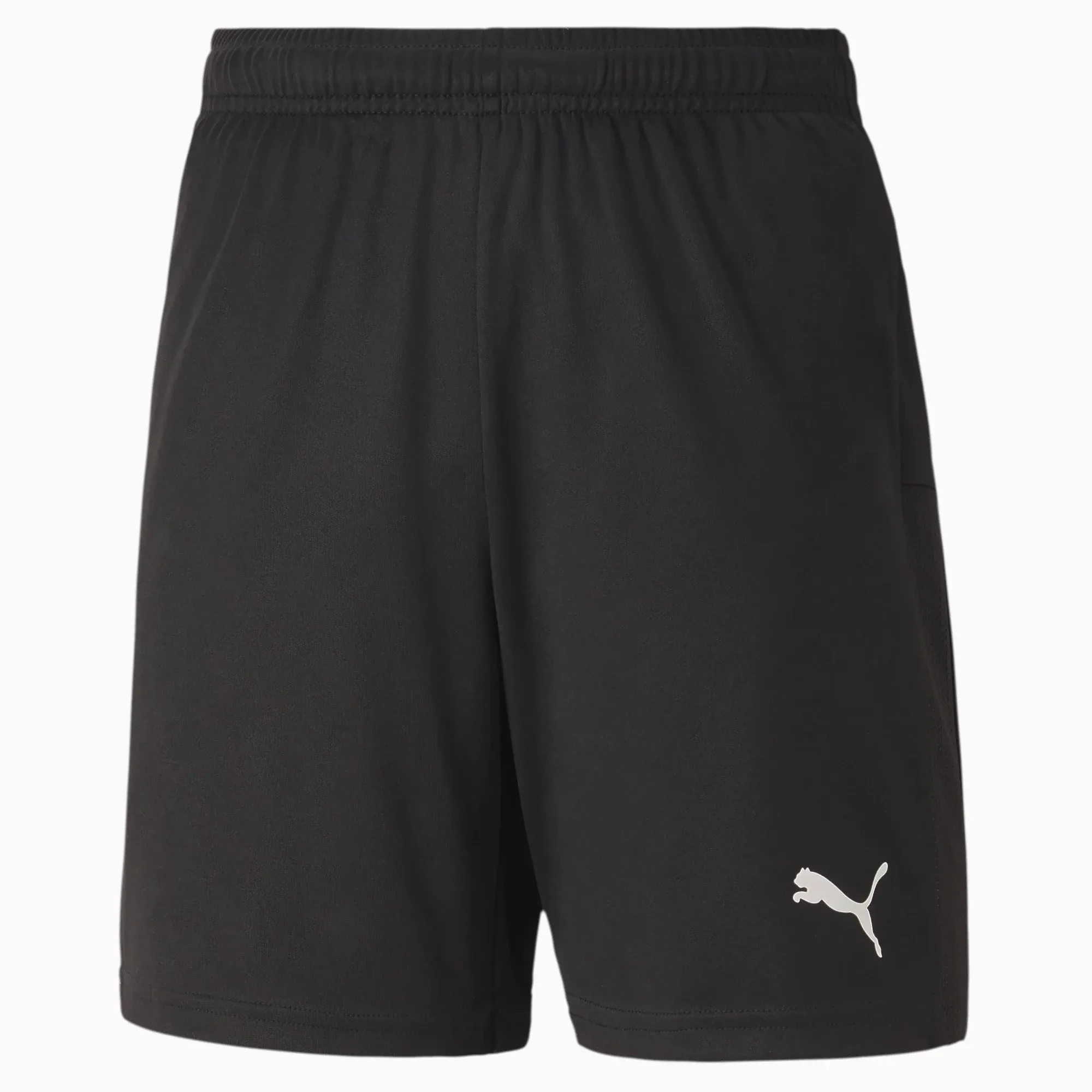 Puma Teamgoal 23 Knit Youth Shorts