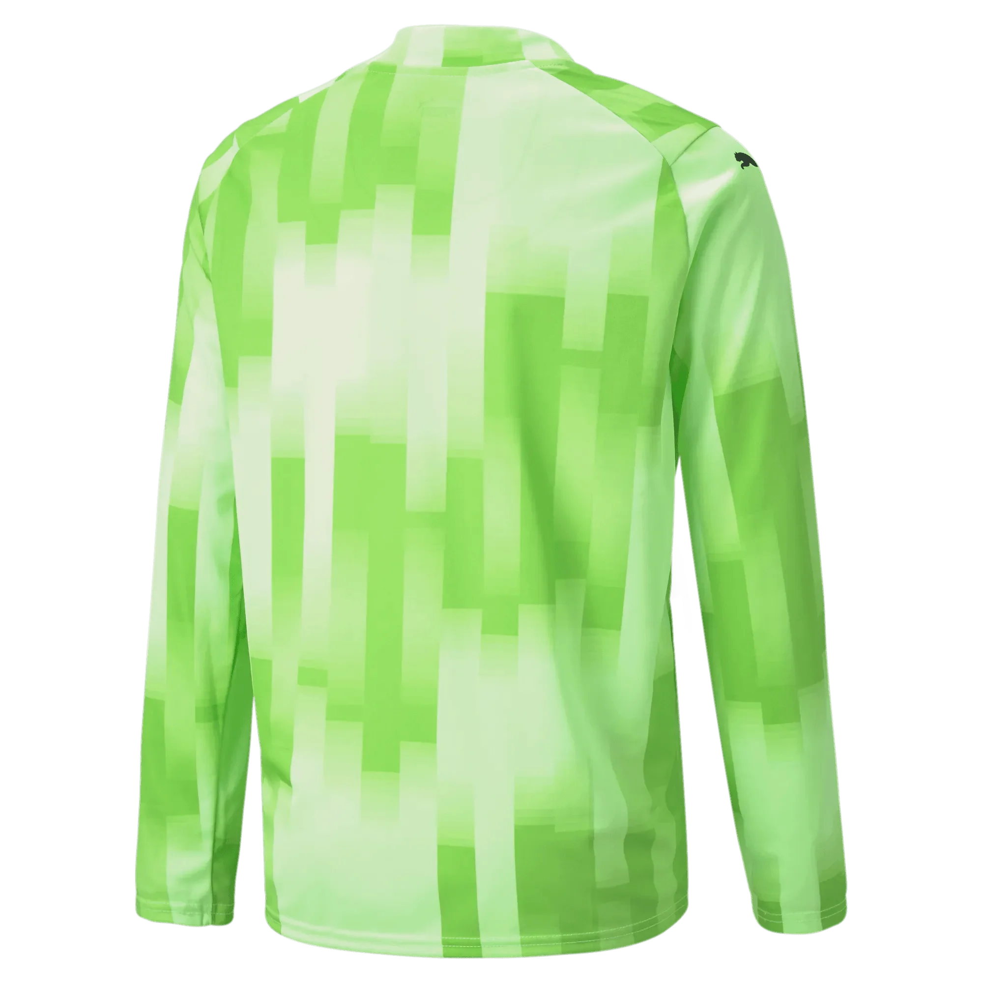 Puma Teamtarget Goalkeeper Longsleeve Youth Jersey - Image 4