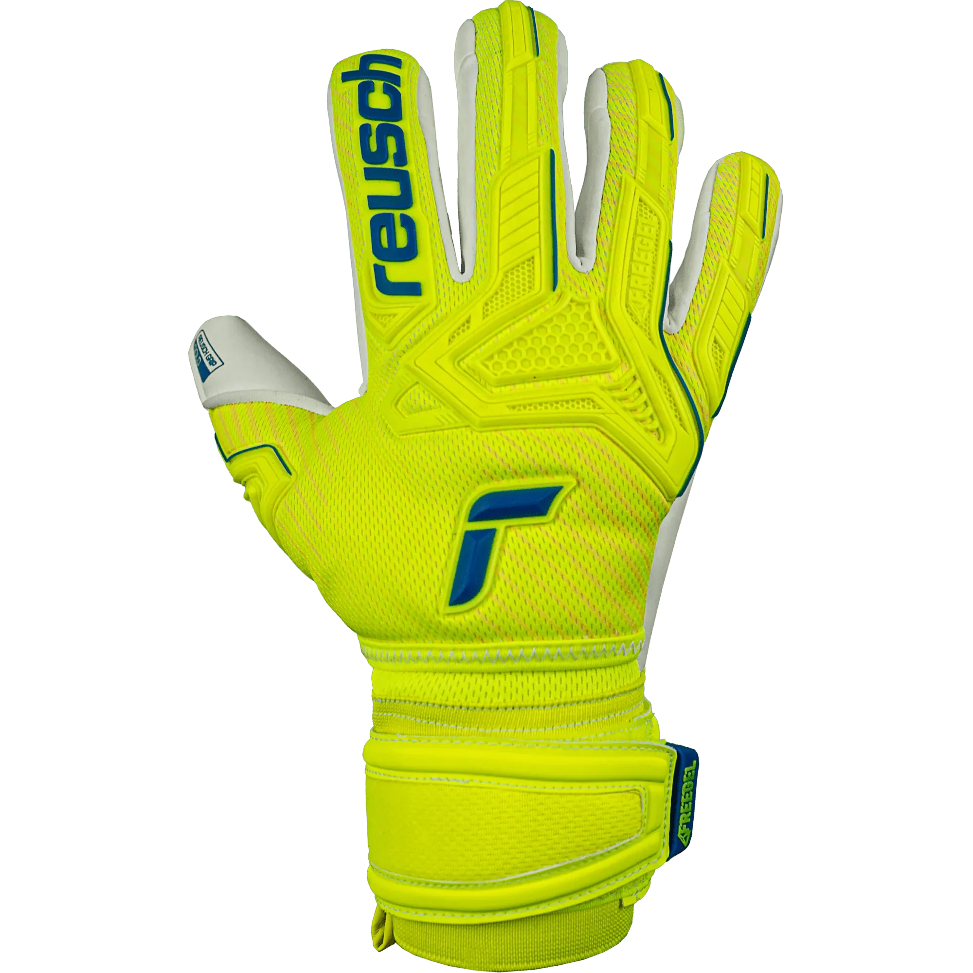 Reusch JR Attrakt Freegel Gold FS - Volt-Blue-White - Image 2