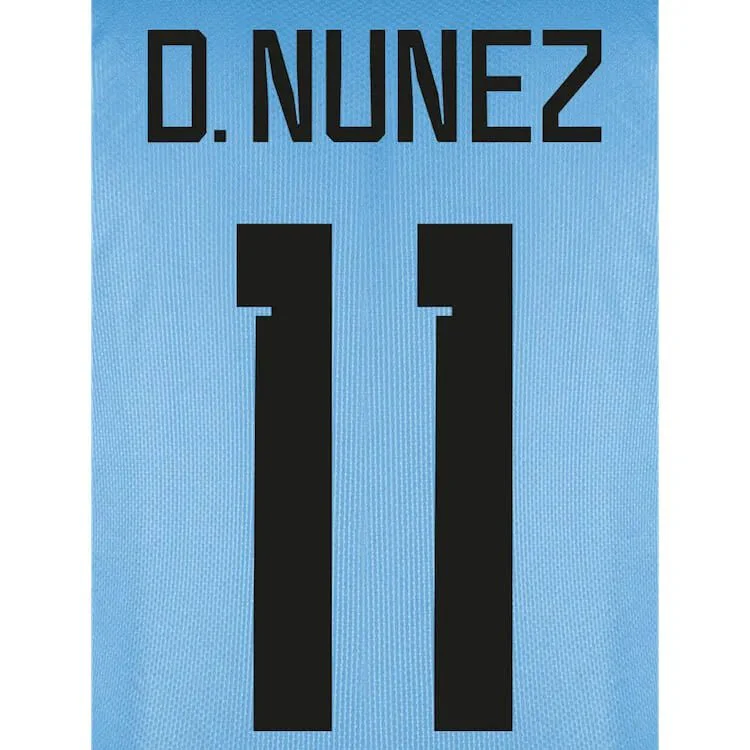 Uruguay 2022-23 Home/Away D. Nunez #11 Jersey Name Set