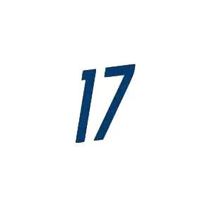 USWNT 2020/21 Home  Heath #17 Jersey Name Set - Image 2