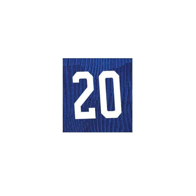USWNT  2022/23 Away Rodman #20  Jersey Name Set (10 inch) - Image 2