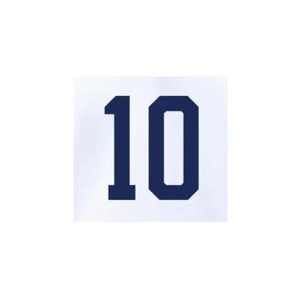 USMNT 2022-23 Home Pulisic #10 Youth Jersey Name Set - Image 2