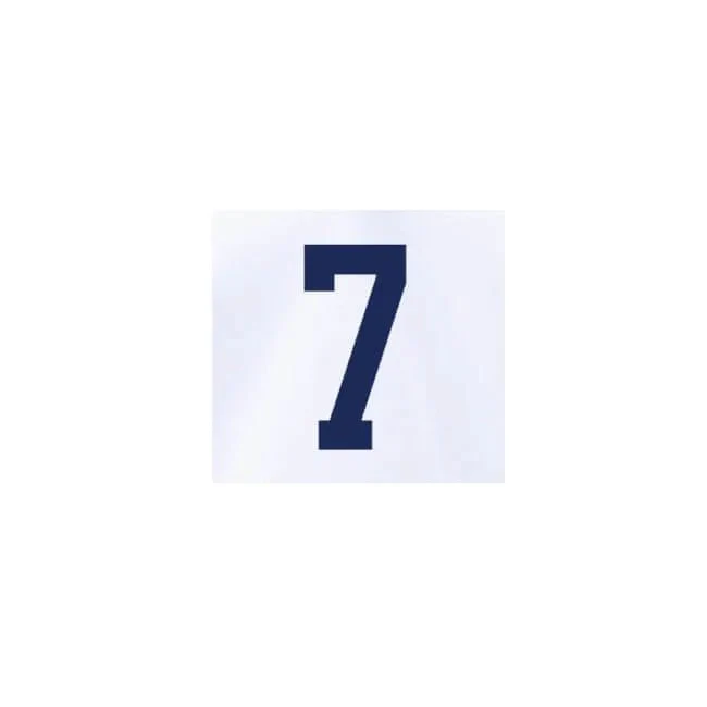 USMNT 2022-23 Home Reyna Youth #7 Jersey Name Set - Image 2